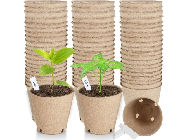 65 Pcs Organic Peat Pots, 3.15 Inch – Honest Review