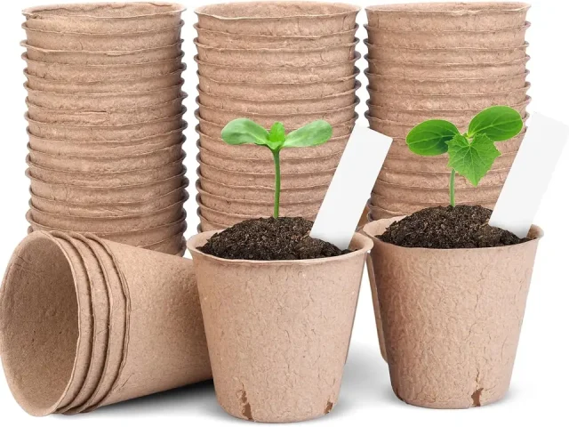 Peat Pots Seedlings 3.15 Inch – In-Depth Review