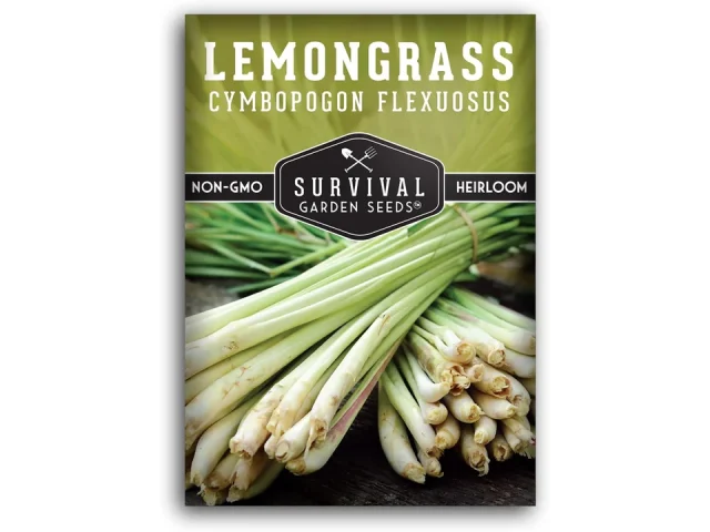 Lemongrass Seeds Planting – Lemon Scented Asian Lemongrass