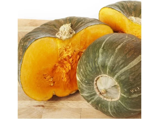 Winter Squash Seeds – Honest Review