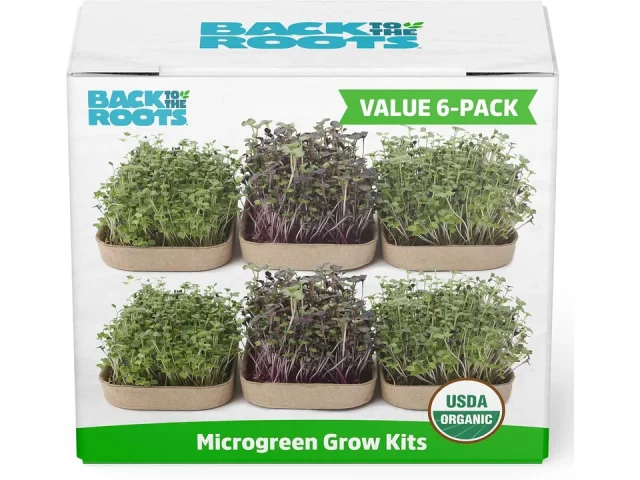 Back to the Roots DIY Microgreen Grow Kit – Complete Review