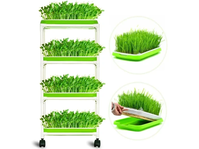 4 Layers Sprout Trays – Pros & Cons
