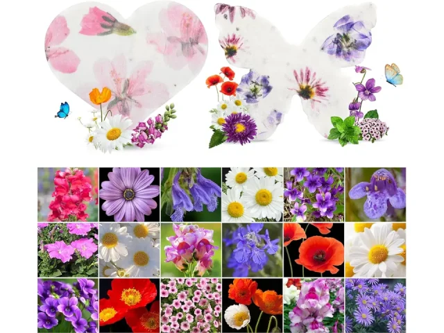 48PCS Plantable Seed Paper Hearts & Butterflies – Honest
