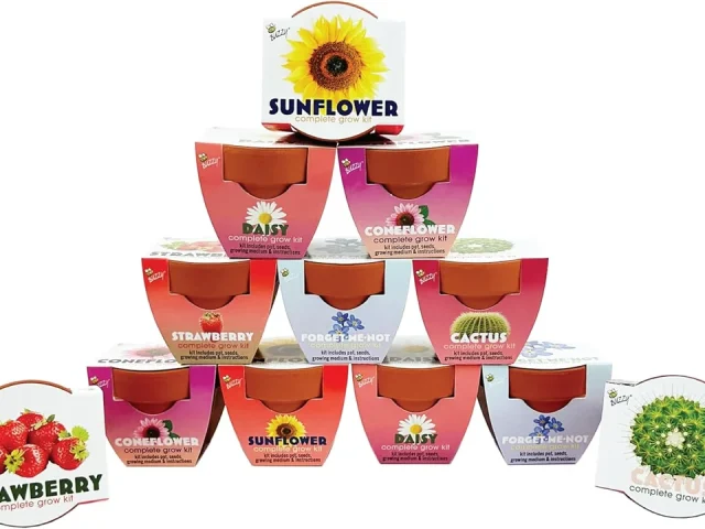 BUZZY Seeds Terracotta Mini Grow Pots – In-Depth Review