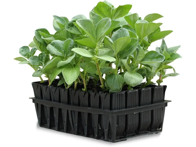Tierra Garden Haxnicks Rootrainers Kit – Expert Review
