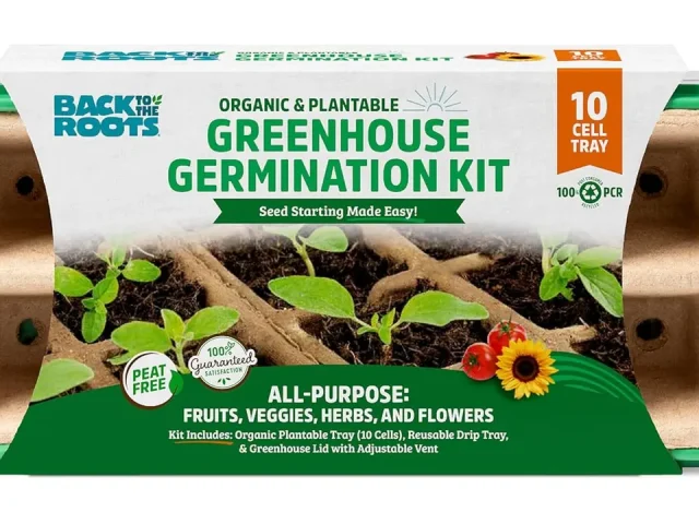 Back to The Roots Greenhouse Germination Kit | In-Depth