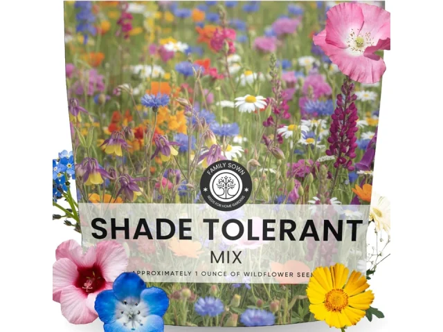 Shade Tolerant Mix 14,000 Wildflower Seeds: Complete Review