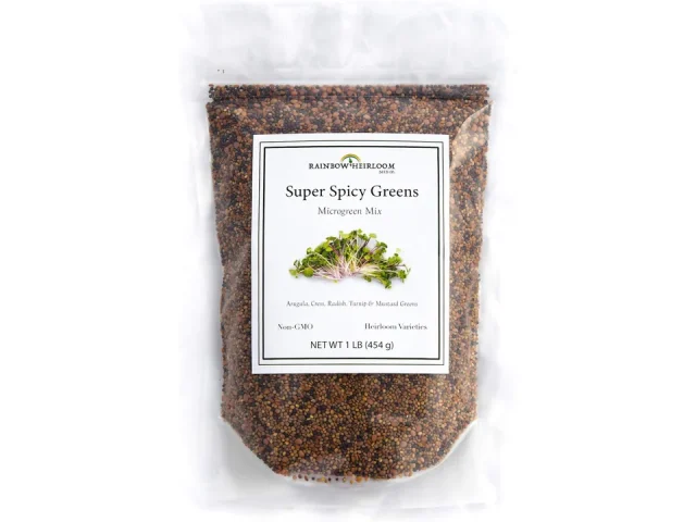 Super Spicy Greens Microgreen Seed Mix | Seeds – In-Depth