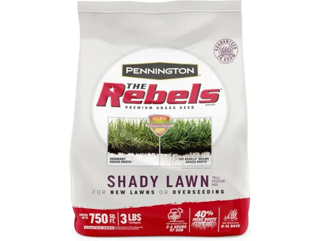 Pennington The Rebels Tall Fescue Shady Grass Seed