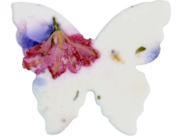 50pcs Small Pink & Purple Butterfly Seed – Buyer’s Guide