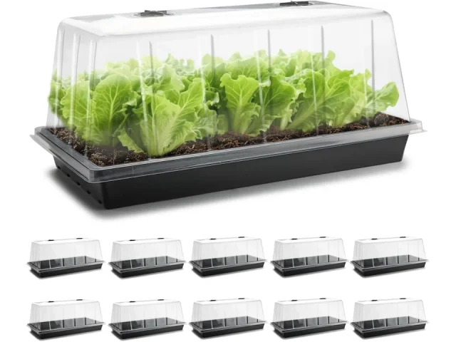 1020 Trays Tall 7.3” Dome, Extra Large – Honest Review