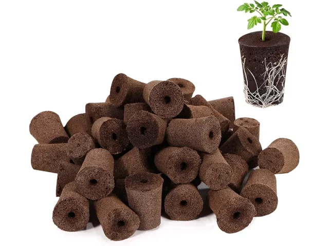 Brand 50 Pack Grow Sponges, Large Seed Pods – In-Depth