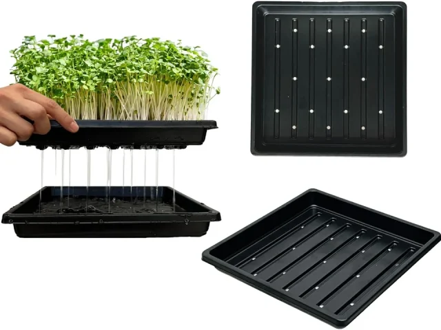 Plant Growing Seed Starter Trays – In-Depth Review