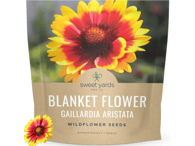 Blanket Flower Gaillardia aristata – In-Depth Review