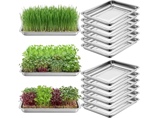 Ceenna 15 Pcs Stainless Steel Plant Trays – Is It Worth the