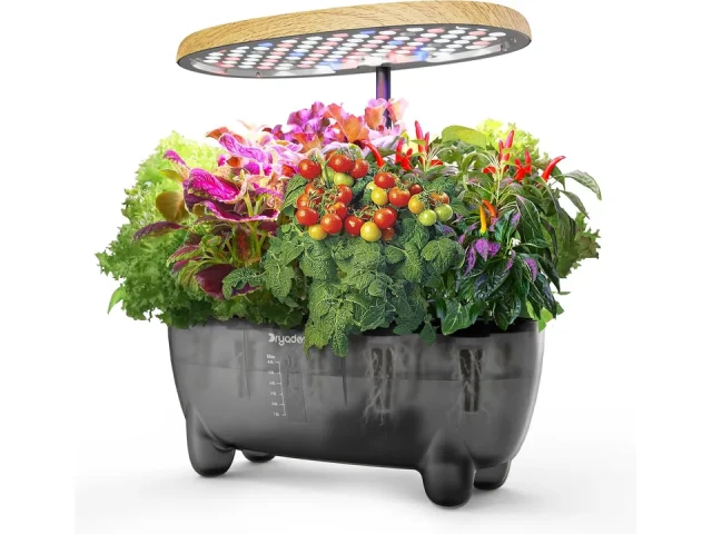 12 Pods Hydroponics Growing System Indoor Herb – Pros & Cons