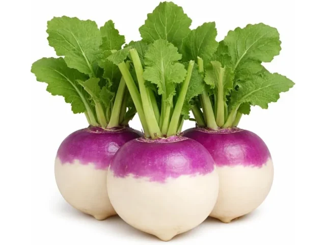 Purple Top White Globe Turnip Seeds – In-Depth Review