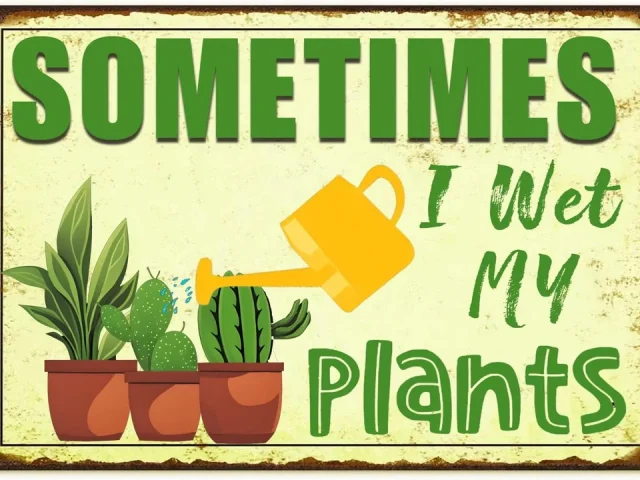 Funny Signs Garden Decor Outdoor Vintage Garden Decorative