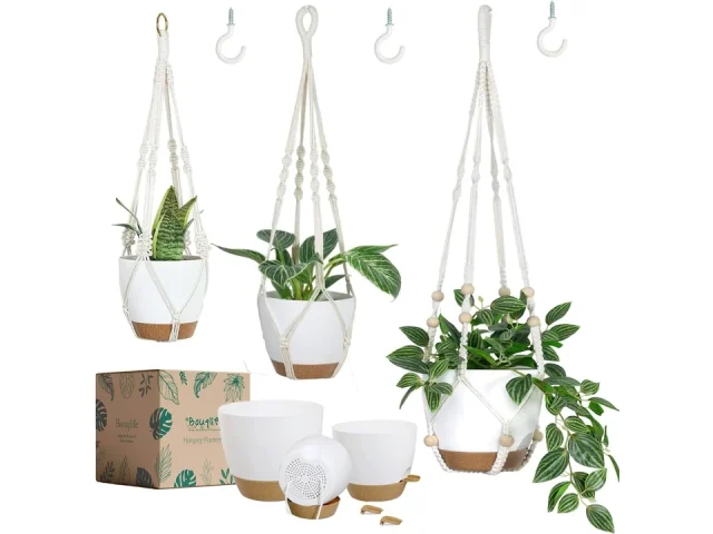 Bouqlife Hanging Planters: Honest Review