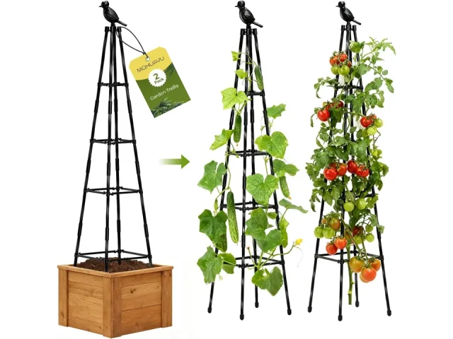 2 Pack Garden Trellis Climbing Plants Cucumber – Pros & Cons