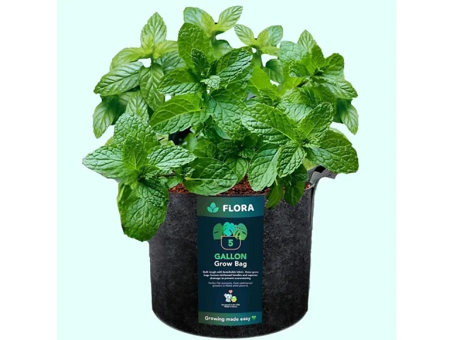 Flora 5-Gallon Grow Bags – In-Depth Review