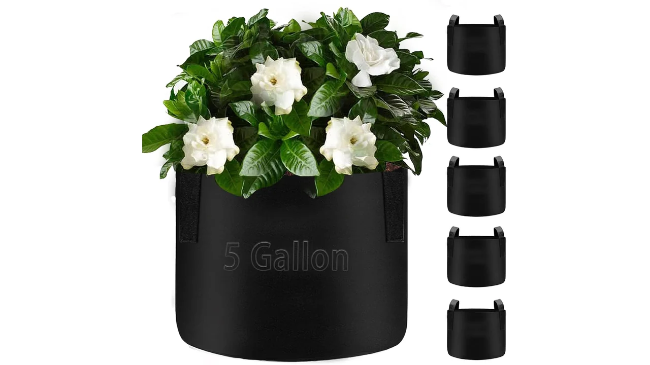 TCBWFY 5 Gallon Grow Bags, 6 Pack Heavy Duty - Honest Review 2 featured 2559