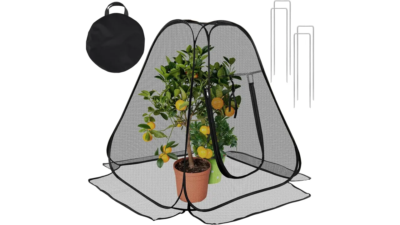 RGQSUN 2 Pack Pop-up Garden Netting Pest Guard: Is It Worth
