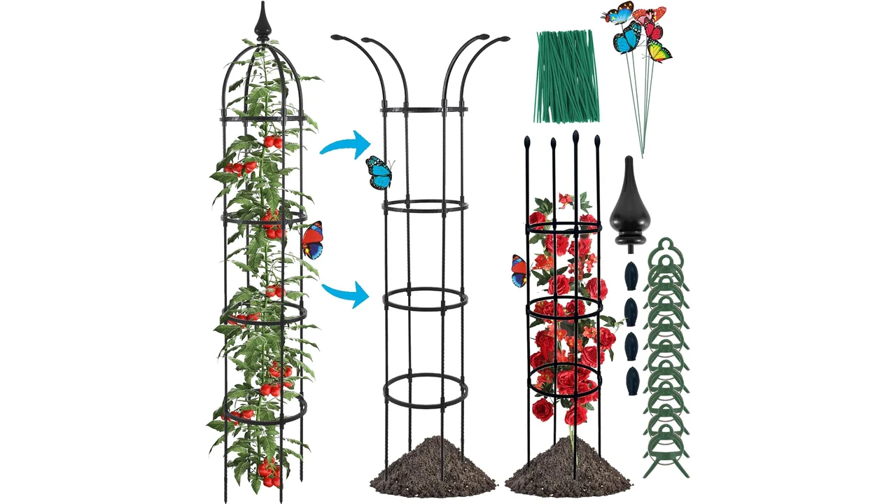featured 2687