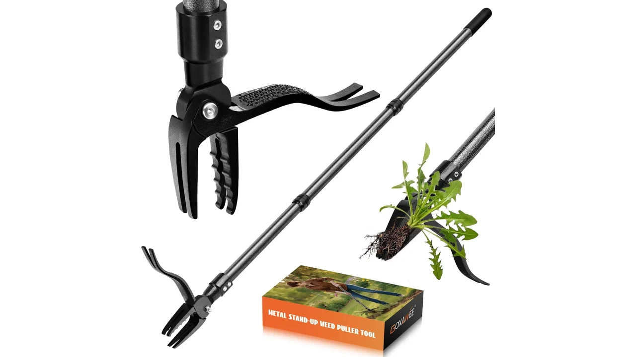 GOXAWEE Metal Stand Up Weed Puller Tool – Honest Review