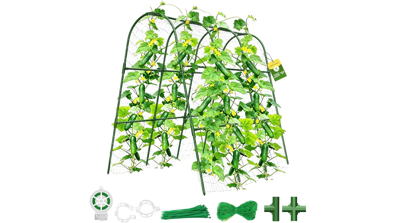 Cucumber Trellis Raised Bed – In-Depth Review