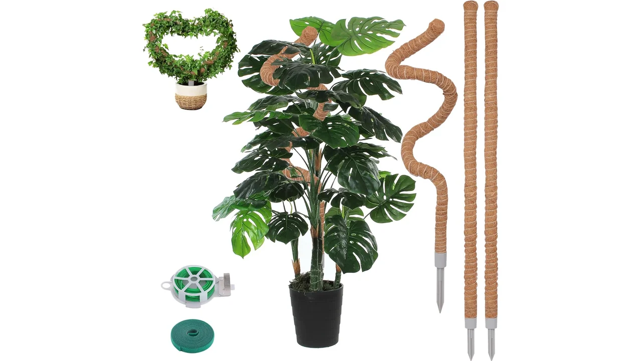 3 Pack Moss Pole, 50 Inch Monstera – Complete Review