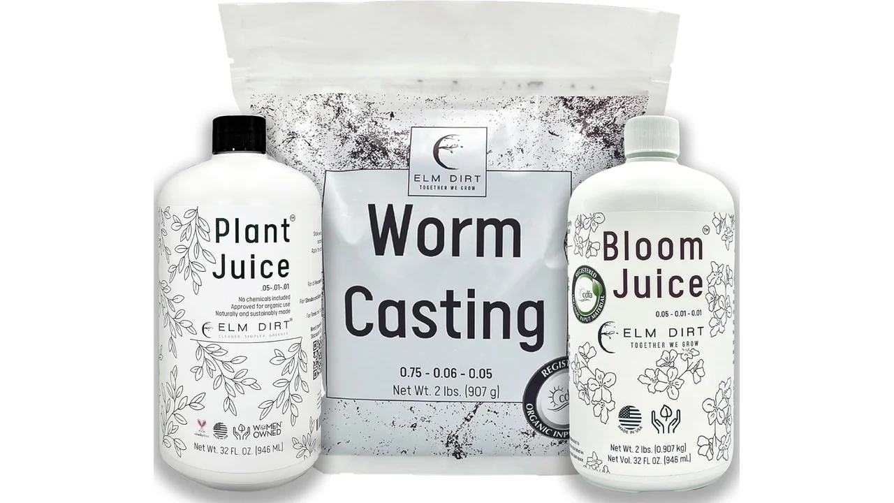 Elm Dirt Plant Juice Bundle - Honest Review 5 featured 285