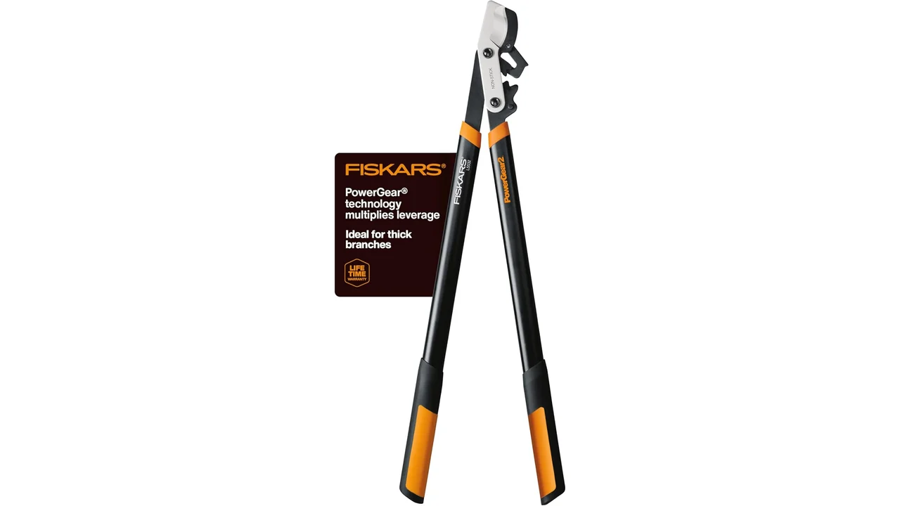 Fiskars Loppers Tree Trimming: Honest Review 7 featured 2861