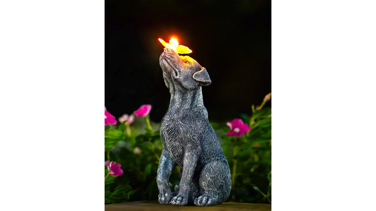 Goodeco Dog Statue Solar Butterfly - Detailed Review 7 featured 2953