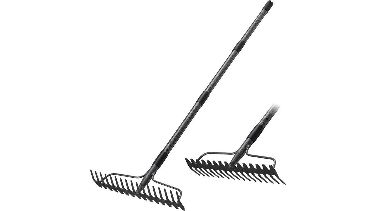 Garden Rake, 63 Inch Long Handle 17 Tongs - Pros & Cons 5 featured 3073