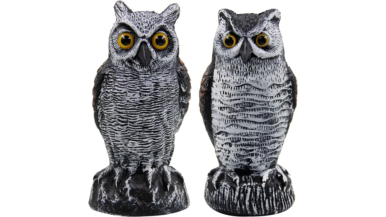 Hausse 2 Pack Fake Horned Owl Bird Scarecrow – Pros & Cons