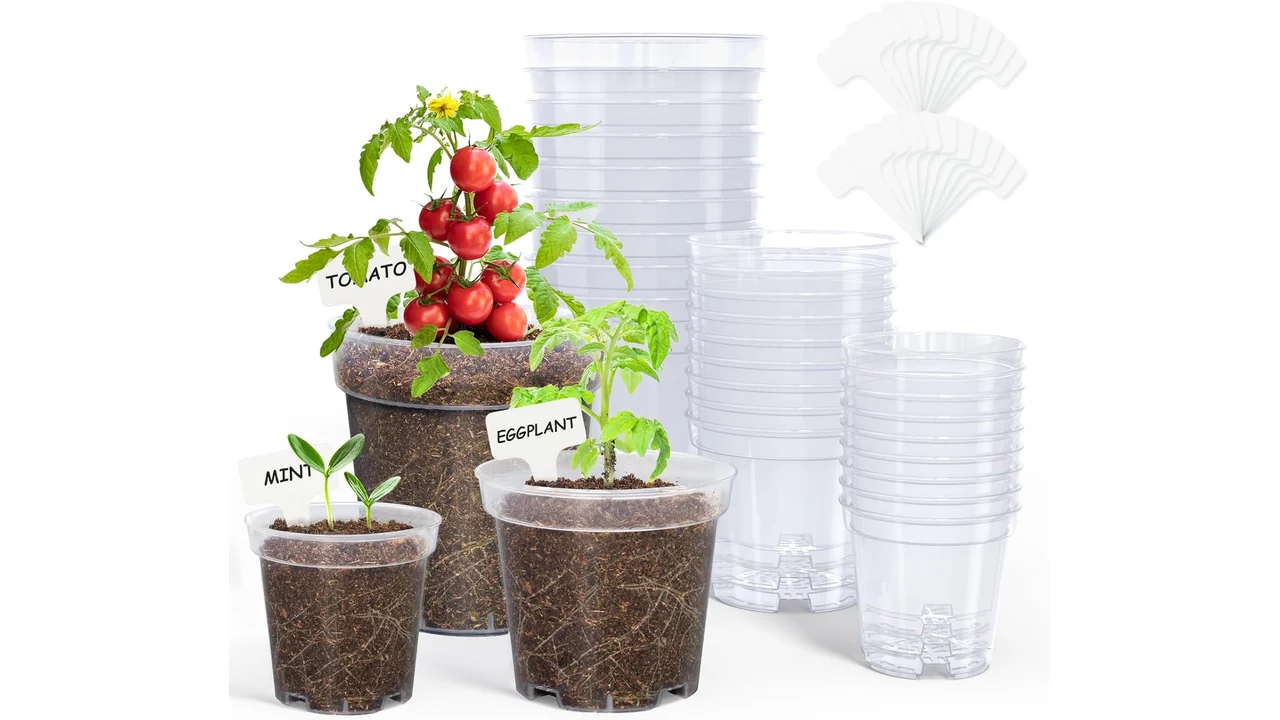 homenote Nursery Pots 30 Pack – Unbiased Review