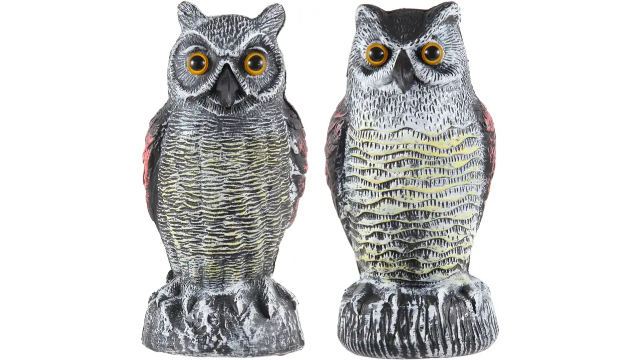 Hedoc 2 Pack Fake Owl Decoys – Complete Review
