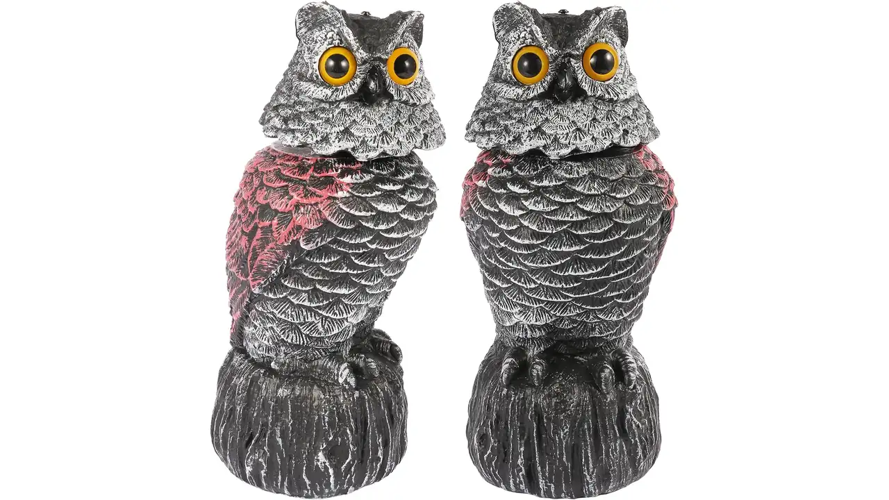 Owl Decoys to Scare Birds Away, 2 Pack – Complete Review