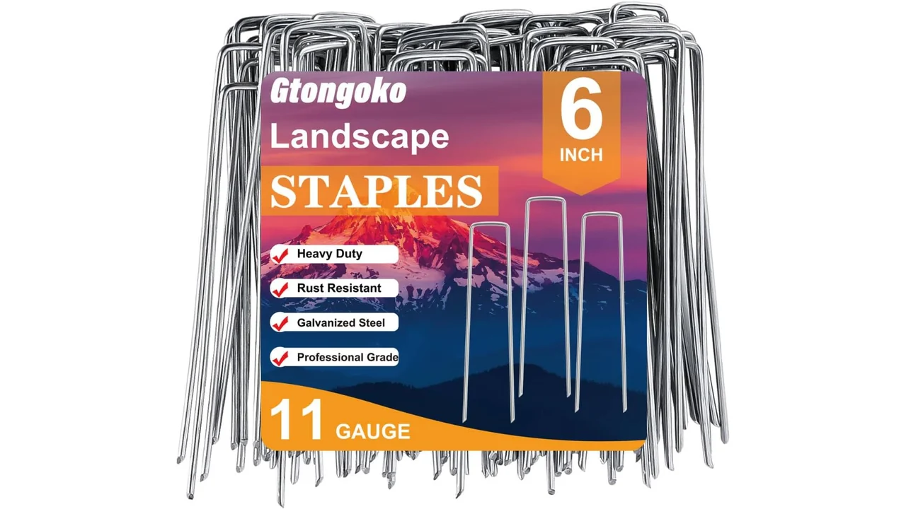 Gtongoko 500 Pack Galvanized Landscape Staples – In-Depth