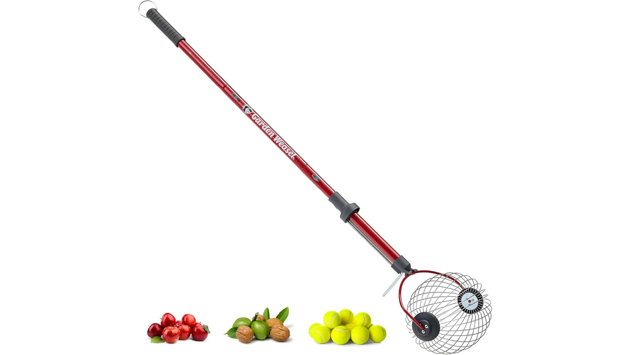 GARDEN WEASEL Nut Gatherer Roller – In-Depth Review