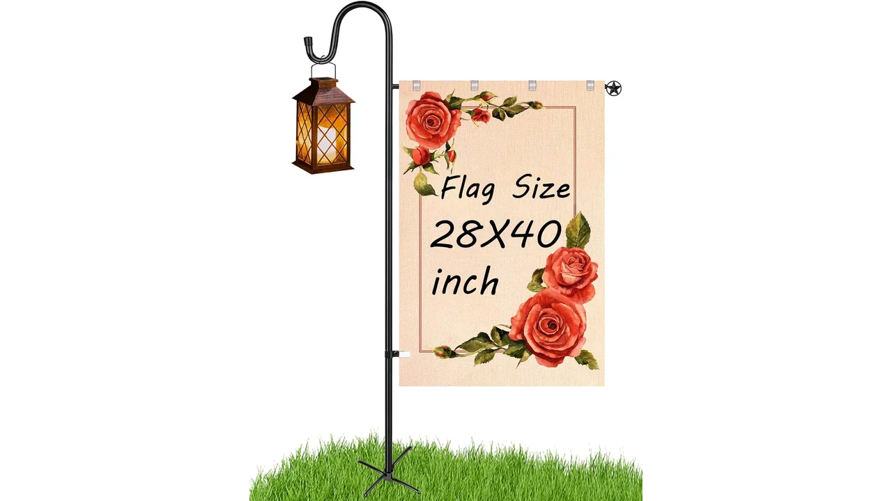 featured 3156