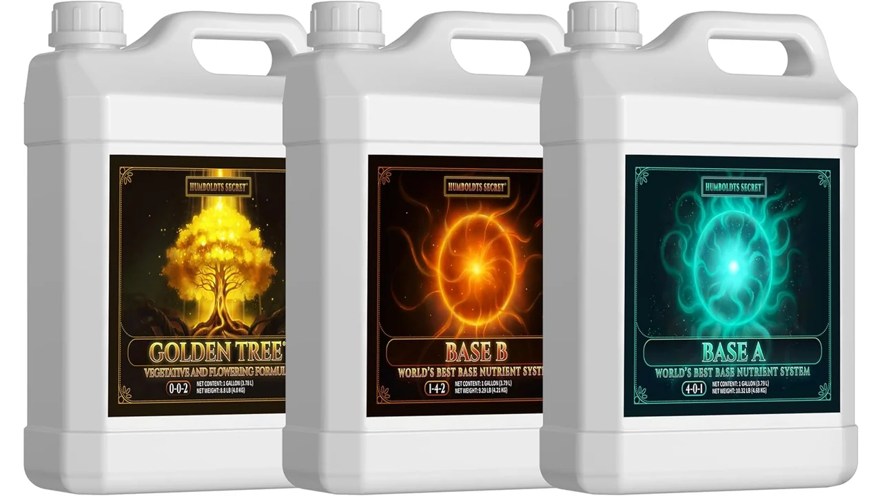Humboldts Secret Golden Tree – In-Depth Review