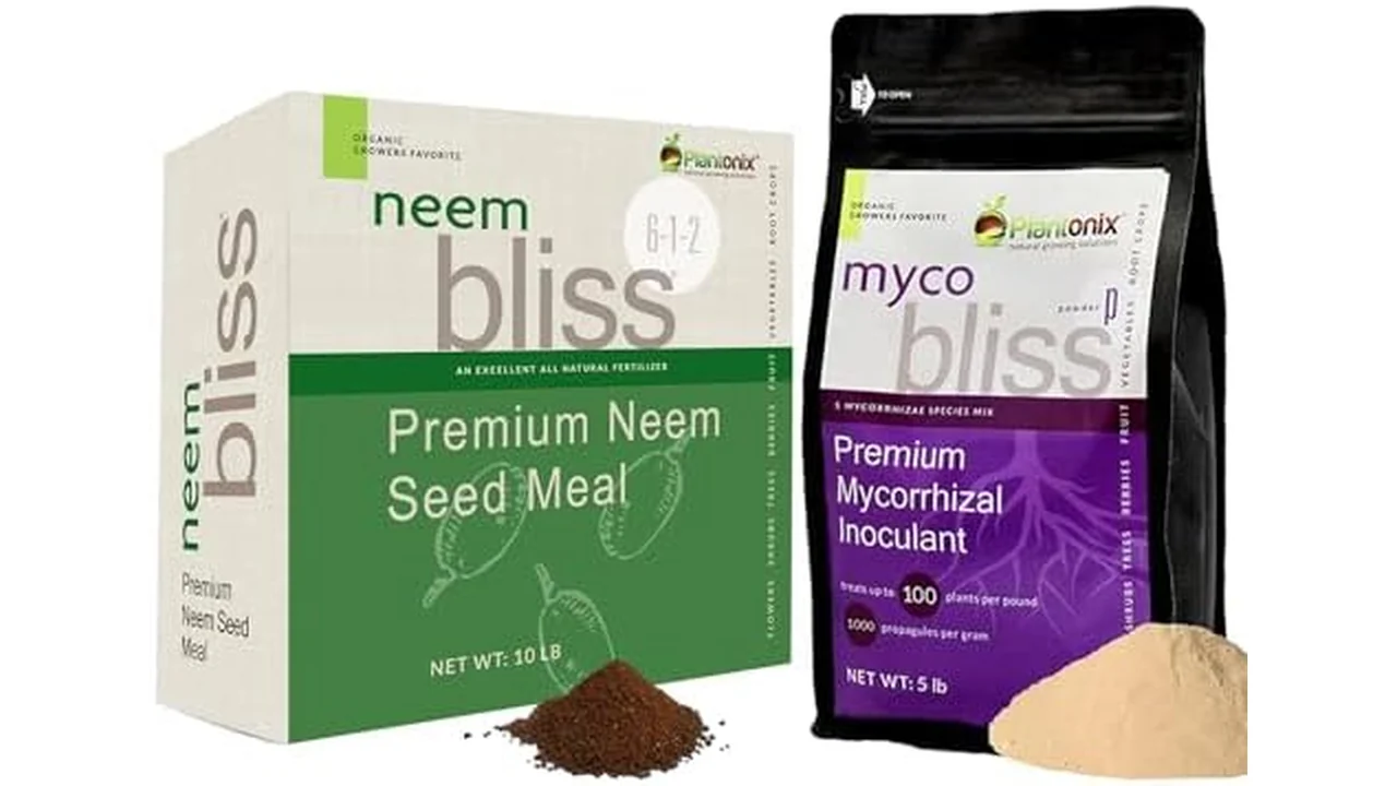 Neem Bliss + Myco Bliss Powder – Honest Review