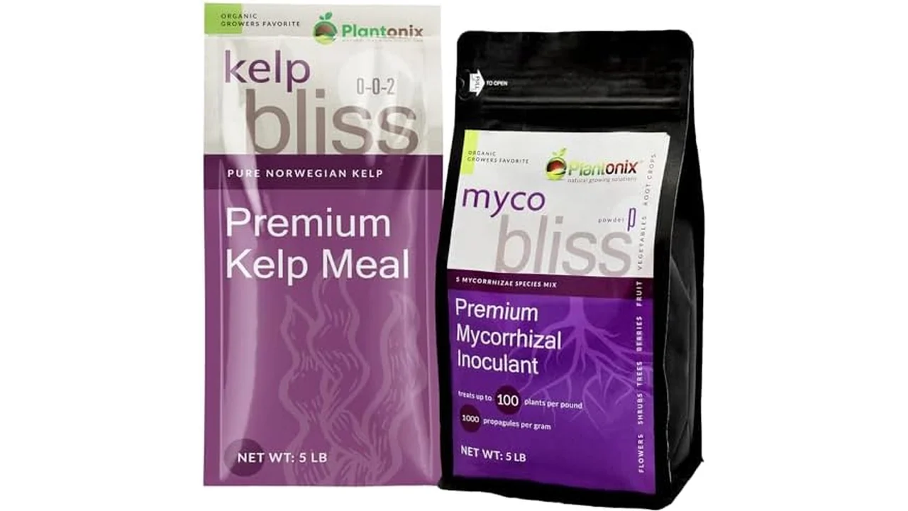 Myco Bliss Powder + Kelp Bliss: Pros & Cons