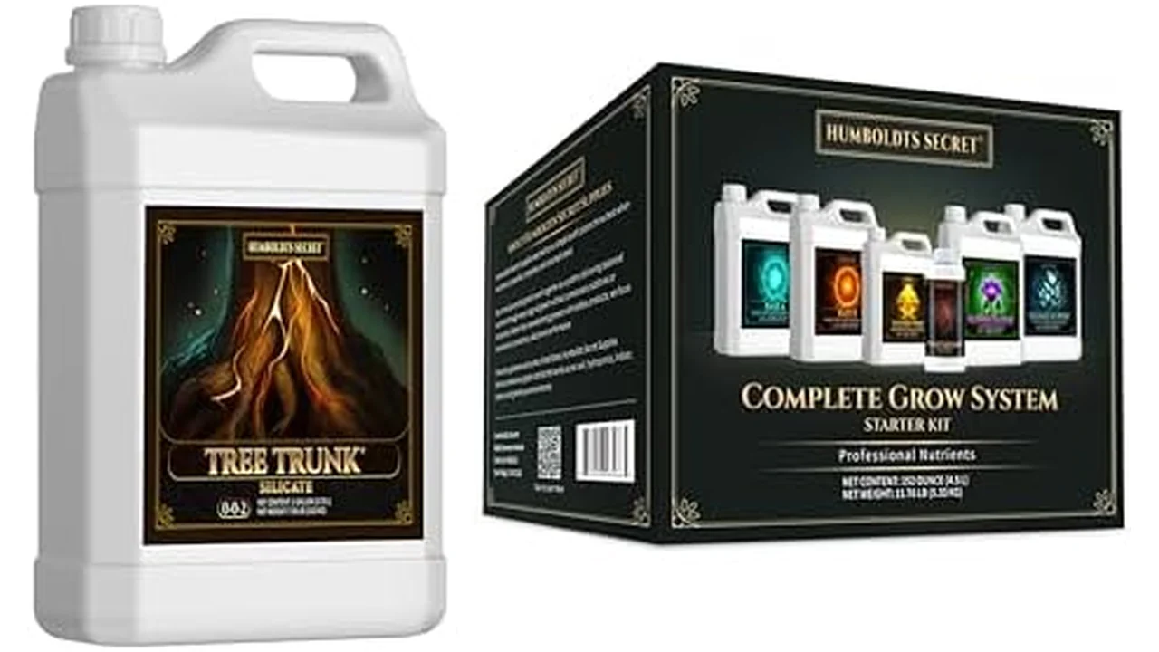 Humboldts Secret Tree Trunk - Honest Review 7 featured 376
