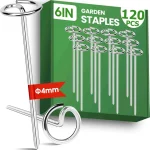 featured 3853