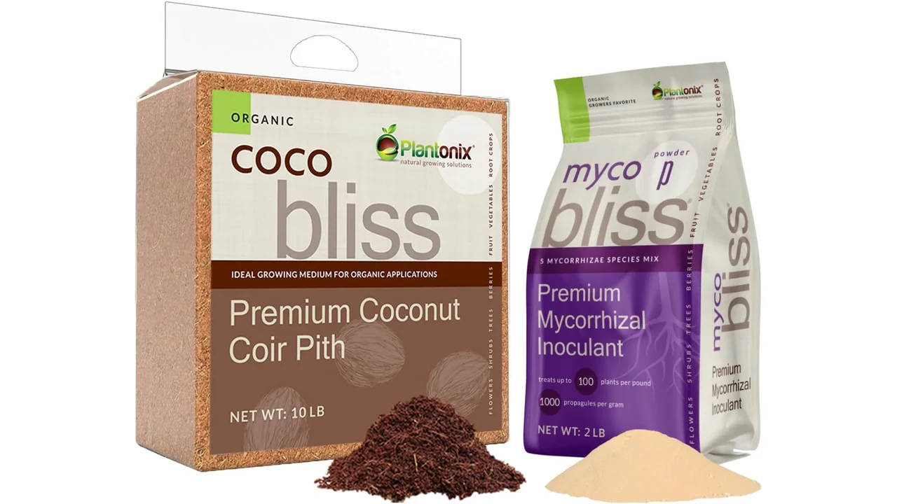 Coco Bliss + Myco Bliss Powder – Honest Review