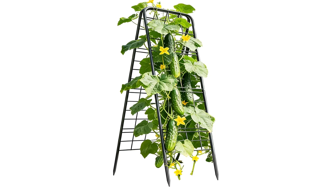 100% Metal Cucumber Trellis Raised A-Shape Garden - Honest 22 featured 4388