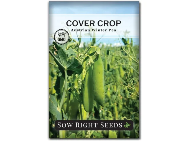 Sow Right Seeds – Austrian Winter Peas – In-Depth Review